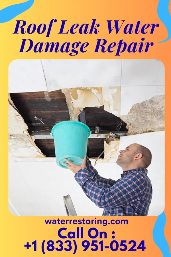 Roof Leak Water Damage Repair in Nederland, CO